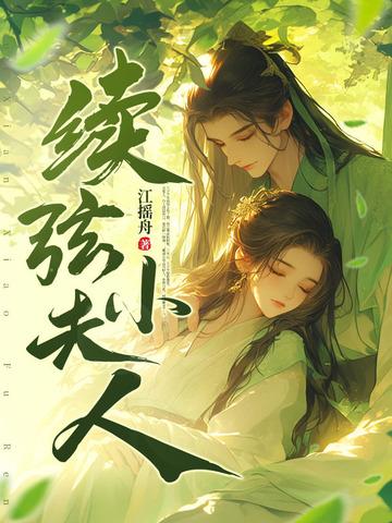 续弦小夫人江摇舟txt