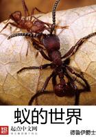 蚁的世界改名叫什么了