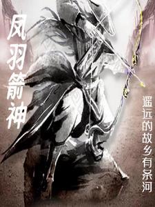 凤羽箭神